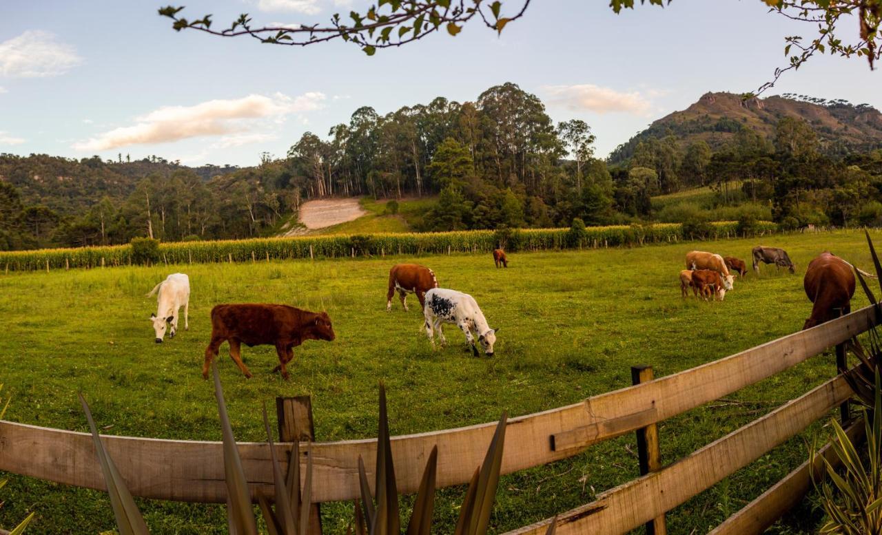 Hospedagem Rural Recanto Do Riacho Urubici Exterior photo